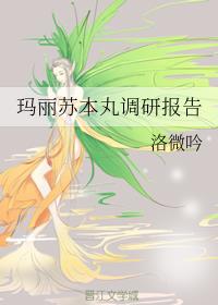 玛丽苏本丸调研报告