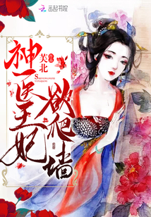 神医王妃欲逃跑