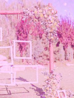 我这四十年的脚步