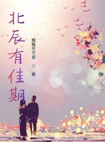 北辰有佳期