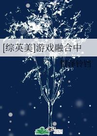 [综英美]游戏融合中