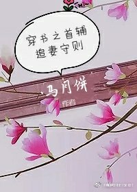 穿书之首辅追妻守则