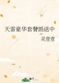 天雷豪华套餐派送中