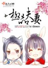 极品夫妻(全本)