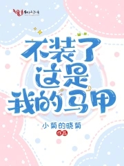 不装了，这是我的马甲