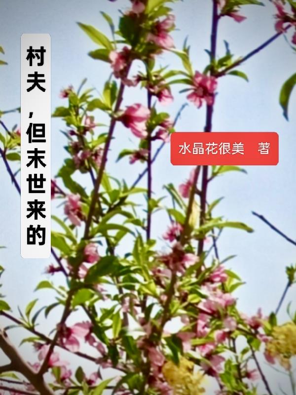 村夫，但末世来的