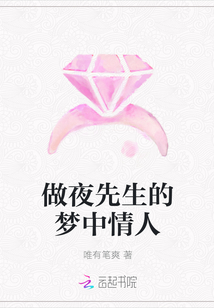 做夜先生的梦中情人