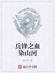 兵锋之血染山河