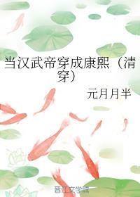 当汉武帝穿成康熙（清穿）