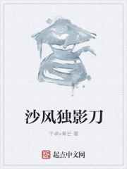 沙风独影刀
