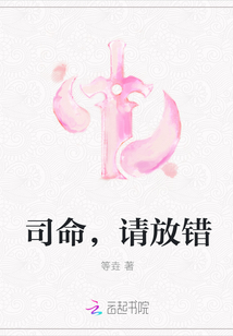 司命，请放错