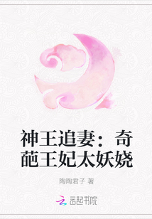 神王追妻：奇葩王妃太妖娆